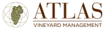 Atlas Vineyard