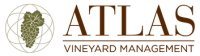 Atlas Vineyard